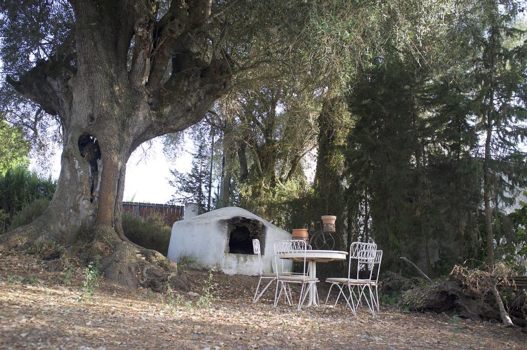 Villas De La Ermita Vejer de la Frontera Exteriér fotografie